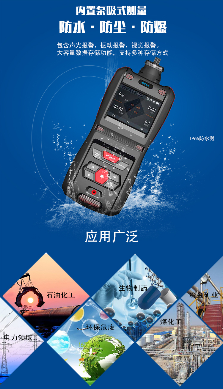 便攜泵吸式壬烷氣體檢測報警儀